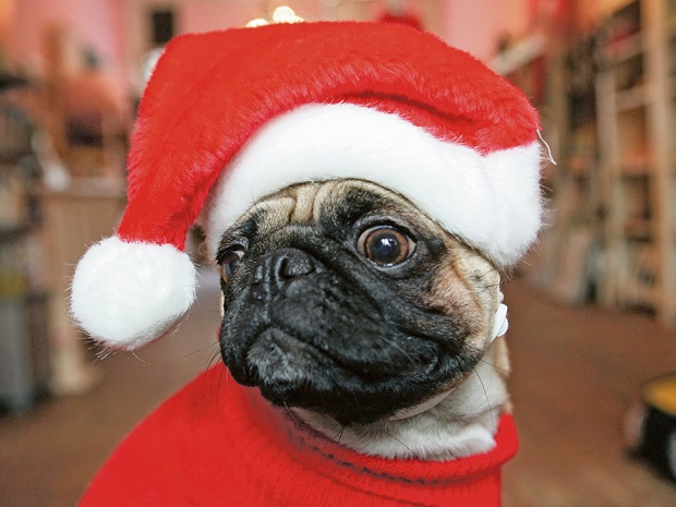 АНЕКДОТИЧЕСКИЕ СТРАСТИ