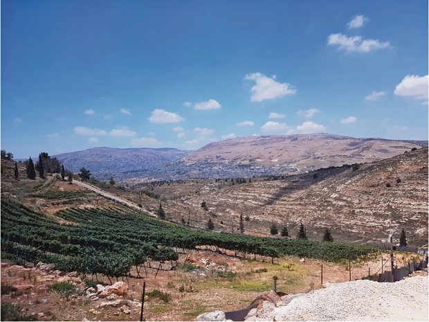 Нельзя останавливаться на полпути