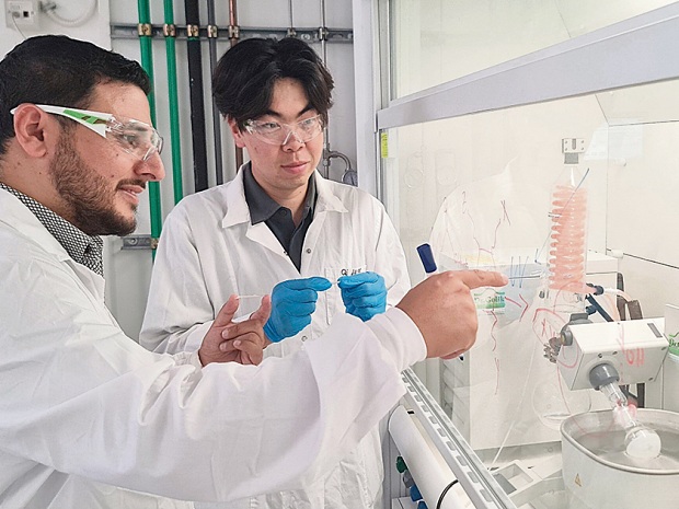 Подсказка природы